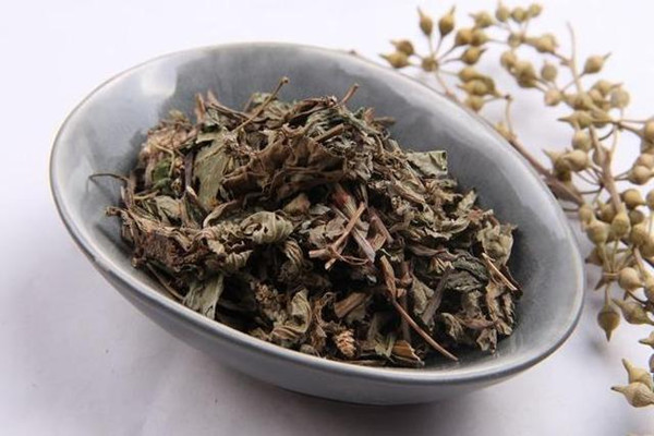 車前草的營養(yǎng)成分 車前草的副作用有哪些 車前草的營養(yǎng)成分 車前草的副作用有哪些