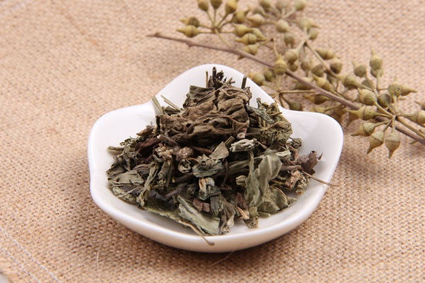 車前草能和枸杞子一起泡水喝嗎 車前草能和魚腥草一起煮水喝嗎 車前草能和枸杞子一起泡水喝嗎 車前草能和魚腥草一起煮水喝嗎