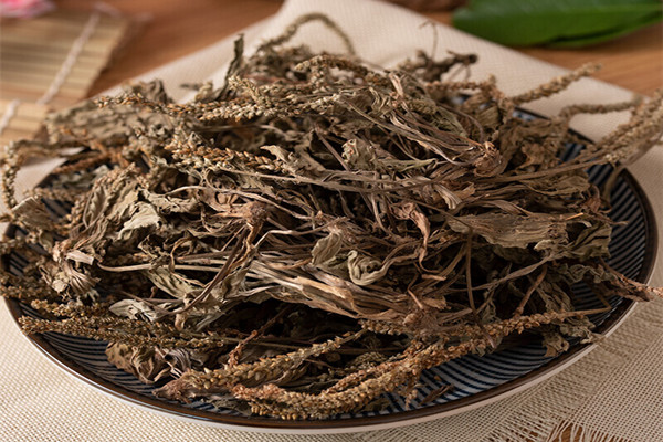車前草能和枸杞子一起泡水喝嗎 車前草能和魚腥草一起煮水喝嗎 車前草能和枸杞子一起泡水喝嗎 車前草能和魚腥草一起煮水喝嗎