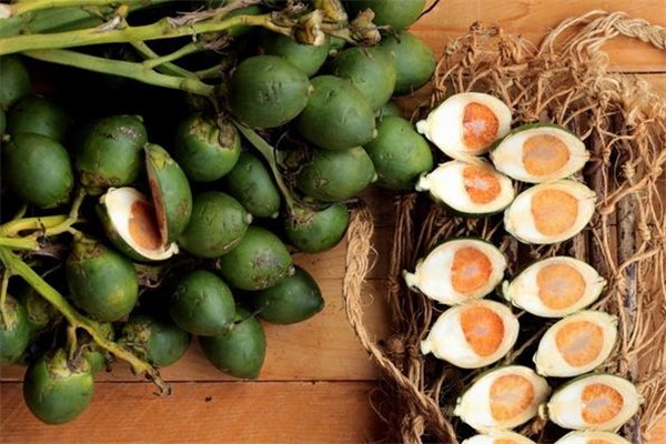 檳榔可以吞下去嗎 檳榔吞下去會(huì)怎么樣