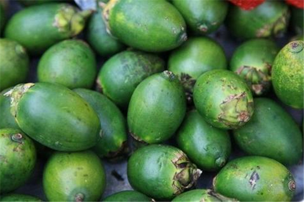 檳榔可以吞下去嗎 檳榔吞下去會怎么樣 檳榔可以吞下去嗎 檳榔吞下去會怎么樣