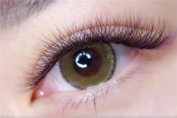 種睫毛后眼睛會變大嗎 種睫毛的好處和壞處 種睫毛后眼睛會變大嗎 種睫毛的好處和壞處