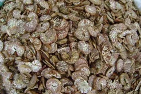 吃檳榔會(huì)查出來酒駕嗎 檳榔含有酒精嗎 吃檳榔會(huì)查出來酒駕嗎 檳榔含有酒精嗎