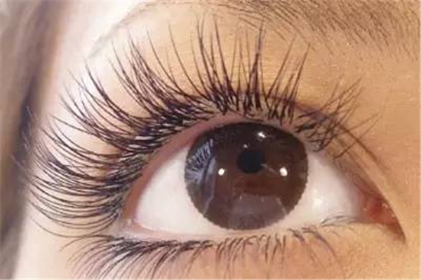 種睫毛和嫁接睫毛區(qū)別 種睫毛和涂睫毛膏哪個好 種睫毛和嫁接睫毛區(qū)別 種睫毛和涂睫毛膏哪個好