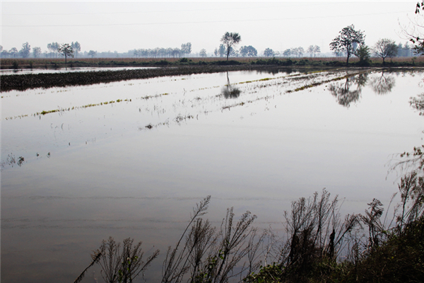 內(nèi)澇什么意思 內(nèi)澇的原因極其措施 內(nèi)澇什么意思 內(nèi)澇的原因極其措施