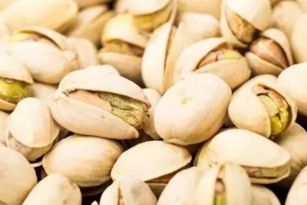 開心果是銀杏樹的果實 開心果是什么樹的果實 開心果是銀杏樹的果實 開心果是什么樹的果實