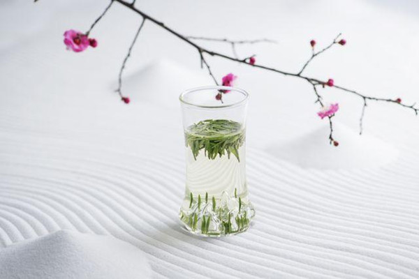 竹葉青茶什么時候喝好 竹葉青茶晚上能喝嗎 竹葉青茶什么時候喝好 竹葉青茶晚上能喝嗎