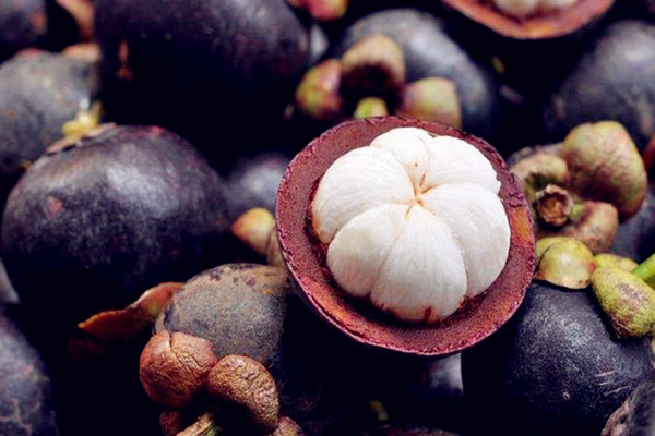 山竹怎么選購 山竹如何存放 山竹怎么選購 山竹如何存放