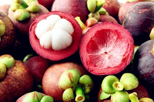 山竹一天吃幾個為宜 山竹吃多了有什么危害 山竹一天吃幾個為宜 山竹吃多了有什么危害