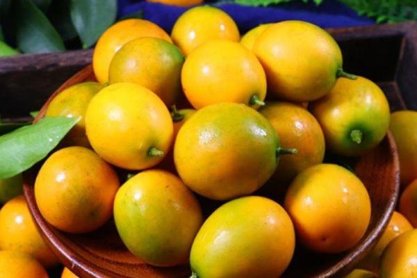 小金桔皮上有黑點(diǎn)可以吃嗎 小金桔皮泡水喝有什么好處 小金桔皮上有黑點(diǎn)可以吃嗎 小金桔皮泡水喝有什么好處