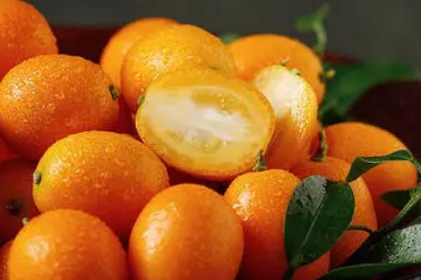 小金桔的保存方法 小金桔怎么熬制治咳嗽 小金桔的保存方法 小金桔怎么熬制治咳嗽