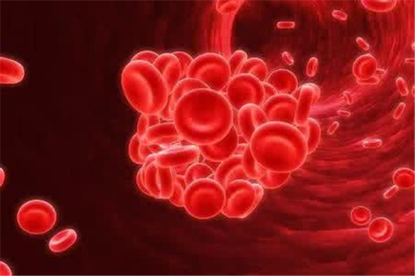 血液病是什么 血液病是怎么引起的 血液病是什么 血液病是怎么引起的