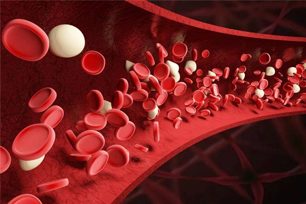 血液病是什么 血液病是怎么引起的 血液病是什么 血液病是怎么引起的