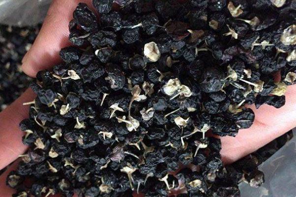 黑枸杞會(huì)掉色是不是染色了 黑枸杞會(huì)染色到手上嗎 黑枸杞會(huì)掉色是不是染色了 黑枸杞會(huì)染色到手上嗎