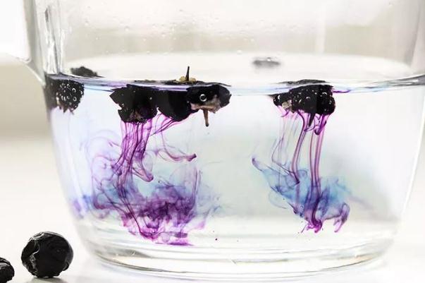 黑枸杞是補(bǔ)什么的 黑枸杞有什么營養(yǎng)價(jià)值 黑枸杞是補(bǔ)什么的 黑枸杞有什么營養(yǎng)價(jià)值