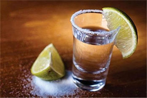 龍舌蘭酒是什么酒 龍舌蘭酒一般多少錢 龍舌蘭酒是什么酒 龍舌蘭酒一般多少錢