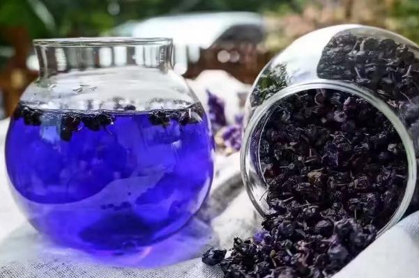 黑枸杞的保質(zhì)期限多久 黑枸杞過(guò)期了還能喝嗎 黑枸杞的保質(zhì)期限多久 黑枸杞過(guò)期了還能喝嗎