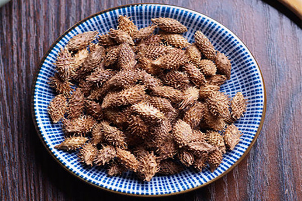 蒼耳子是熱性還是涼性 蒼耳子的功效與作用 蒼耳子是熱性還是涼性 蒼耳子的功效與作用