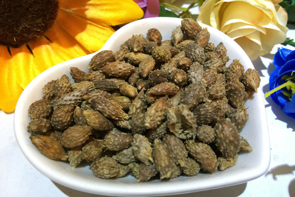 蒼耳子對(duì)胃有影響嗎 蒼耳子對(duì)肝臟有損害嗎 蒼耳子對(duì)胃有影響嗎 蒼耳子對(duì)肝臟有損害嗎