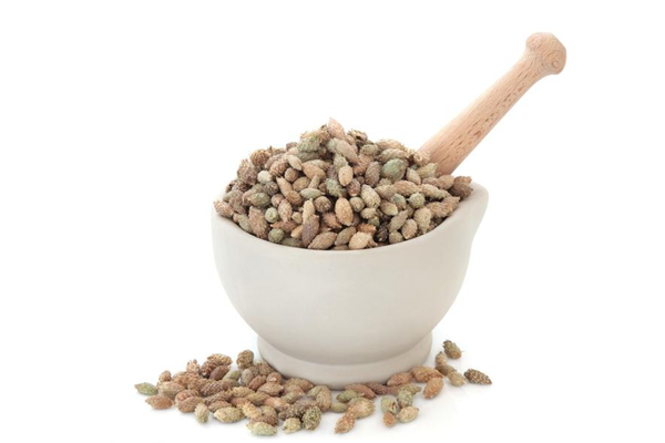 蒼耳子什么人不能用 蒼耳子適合什么人吃 蒼耳子什么人不能用 蒼耳子適合什么人吃