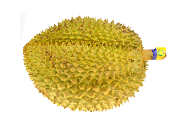 榴蓮盛產(chǎn)于哪里 榴蓮是幾月份的水果 榴蓮盛產(chǎn)于哪里 榴蓮是幾月份的水果