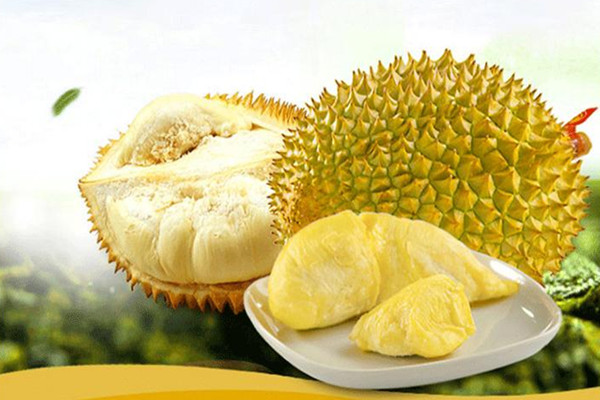 榴蓮的營養(yǎng)價值有哪些 榴蓮一次吃多少為宜 榴蓮的營養(yǎng)價值有哪些 榴蓮一次吃多少為宜