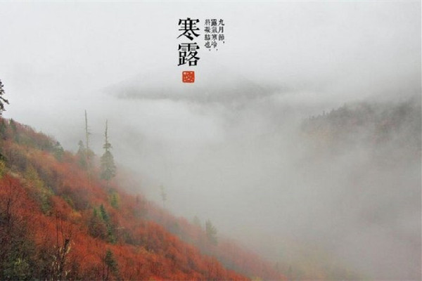 寒露有什么美食可以吃 寒露吃什么食物養(yǎng)生 寒露有什么美食可以吃 寒露吃什么食物養(yǎng)生