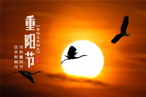 重陽節(jié)可以結(jié)婚嗎 重陽節(jié)有什么忌諱 重陽節(jié)可以結(jié)婚嗎 重陽節(jié)有什么忌諱