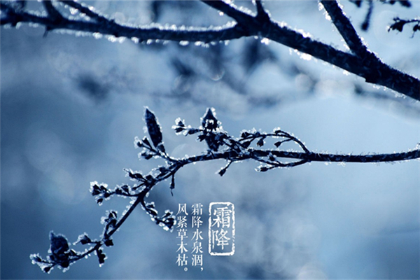 霜降是不是開(kāi)始冷了 寒露冷還是霜降冷 霜降是不是開(kāi)始冷了 寒露冷還是霜降冷