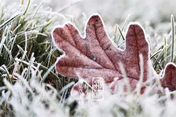 霜降要吃什么食物好 霜降養(yǎng)生應(yīng)該注意什么 霜降要吃什么食物好 霜降養(yǎng)生應(yīng)該注意什么