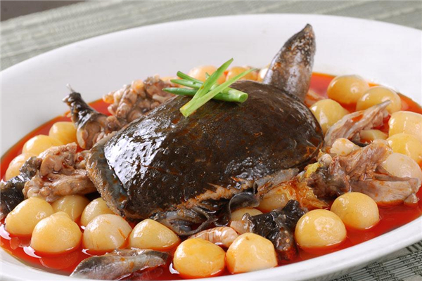 甲魚哪些部位不能吃 甲魚的黃油要不要去掉 甲魚哪些部位不能吃 甲魚的黃油要不要去掉