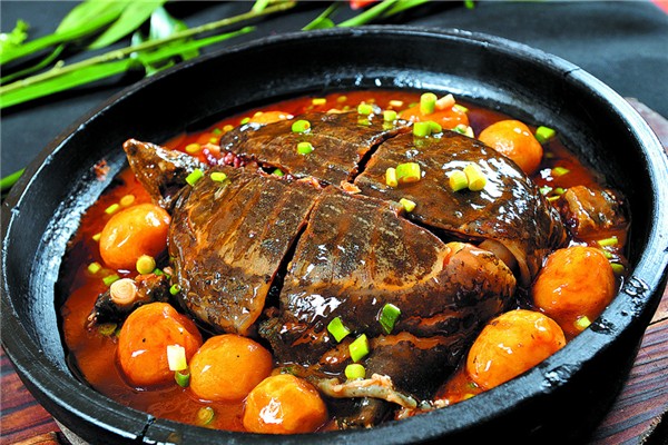 甲魚野生的和養(yǎng)殖的怎么區(qū)分 野生甲魚有什么滋補(bǔ)作用 甲魚野生的和養(yǎng)殖的怎么區(qū)分 野生甲魚有什么滋補(bǔ)作用