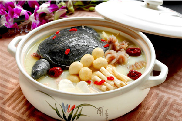 甲魚燉湯好還是紅燒好 甲魚怎么做法好吃 甲魚燉湯好還是紅燒好 甲魚怎么做法好吃