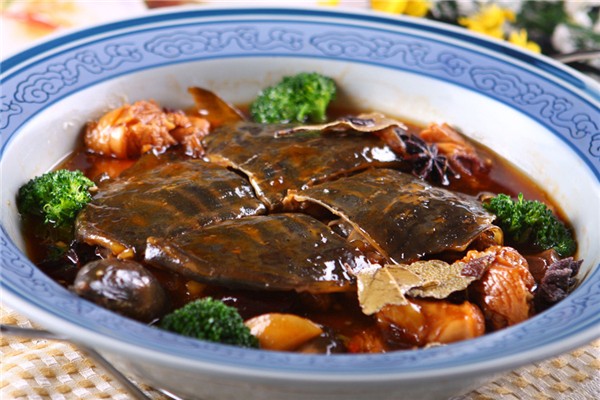 甲魚野生的和養(yǎng)殖的怎么區(qū)分 野生甲魚有什么滋補(bǔ)作用 甲魚野生的和養(yǎng)殖的怎么區(qū)分 野生甲魚有什么滋補(bǔ)作用