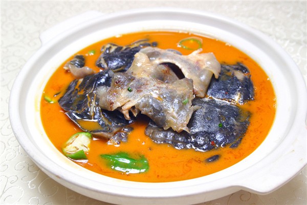 甲魚是涼性還是熱性 甲魚屬于魚類嗎 甲魚是涼性還是熱性 甲魚屬于魚類嗎