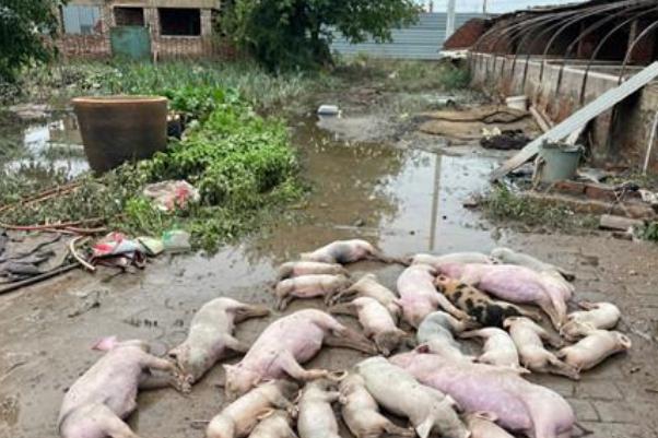 水災(zāi)的特點(diǎn) 水災(zāi)要注意什么 水災(zāi)的特點(diǎn) 水災(zāi)要注意什么