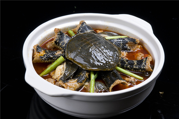 甲魚腥味很大是嗎 甲魚腥味怎么去除 甲魚腥味很大是嗎 甲魚腥味怎么去除