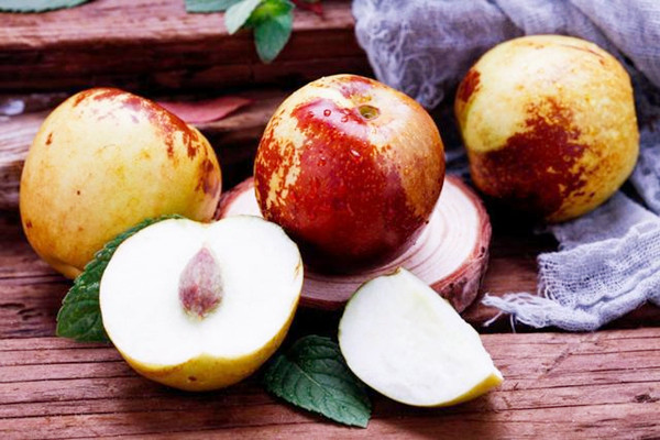 冬棗的適宜人群 冬棗不適合什么人吃 冬棗的適宜人群 冬棗不適合什么人吃