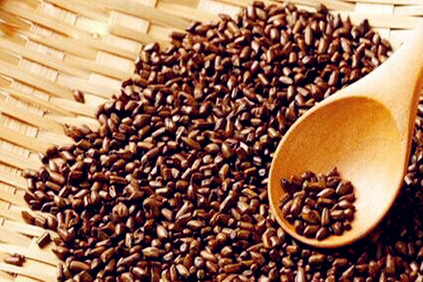 決明子是不是涼性的 決明子會(huì)上火嗎 決明子是不是涼性的 決明子會(huì)上火嗎