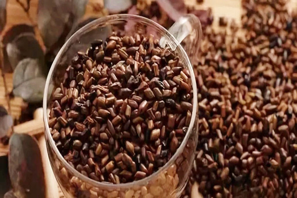 決明子會過期嗎 決明子過期了能干嘛 決明子會過期嗎 決明子過期了能干嘛