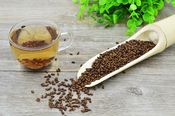 決明子有助于睡眠嗎 決明子的藥用價值 決明子有助于睡眠嗎 決明子的藥用價值