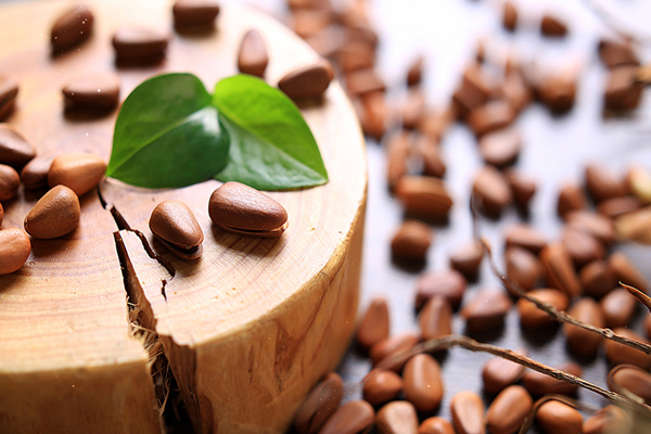 松子的營養(yǎng)價(jià)值 松子有什么功效 松子的營養(yǎng)價(jià)值 松子有什么功效