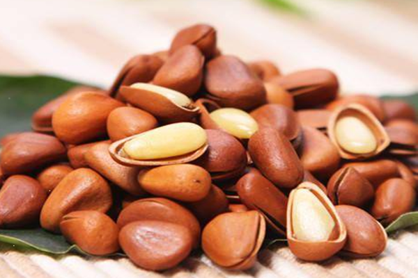 松子的營養(yǎng)價(jià)值 松子有什么功效 松子的營養(yǎng)價(jià)值 松子有什么功效