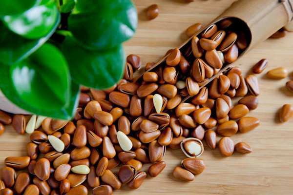 松子的營養(yǎng)價(jià)值 松子有什么功效 松子的營養(yǎng)價(jià)值 松子有什么功效