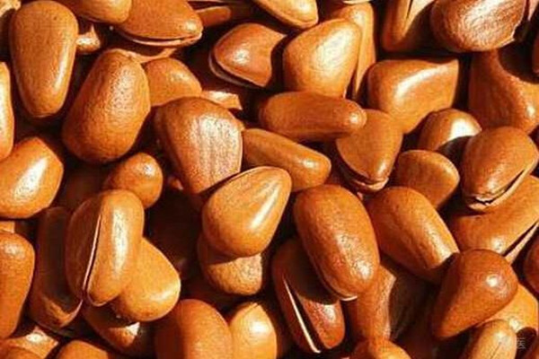 ?松子適合什么人群吃 松子的不適宜人群 ?松子適合什么人群吃 松子的不適宜人群