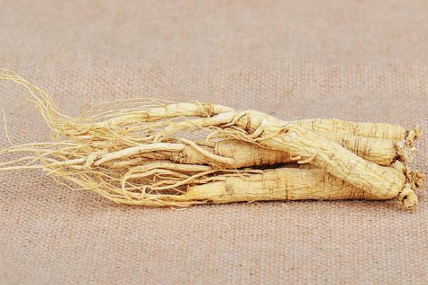 白參對(duì)肝臟有什么好處 白參對(duì)睡眠有幫助嗎 白參對(duì)肝臟有什么好處 白參對(duì)睡眠有幫助嗎