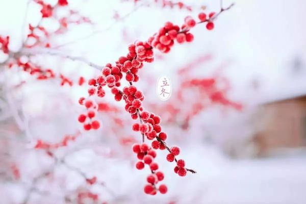 立冬是什么意思 立冬的含義和風(fēng)俗 立冬是什么意思 立冬的含義和風(fēng)俗