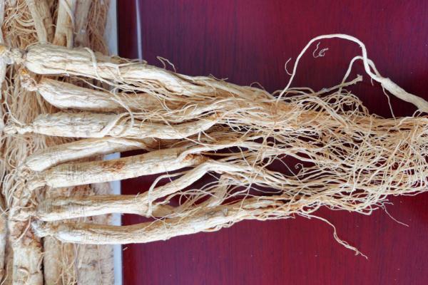 白參會(huì)過敏嗎 什么人不能吃白參 白參會(huì)過敏嗎 什么人不能吃白參