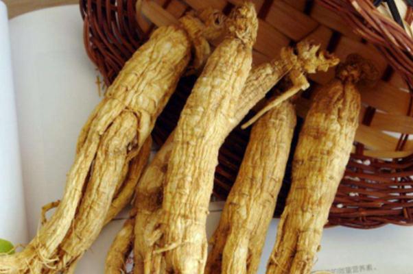 白參對(duì)肝臟有什么好處 白參對(duì)睡眠有幫助嗎 白參對(duì)肝臟有什么好處 白參對(duì)睡眠有幫助嗎