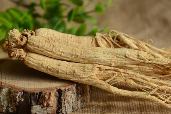 白參是什么參 白參是西洋參嗎 白參是什么參 白參是西洋參嗎